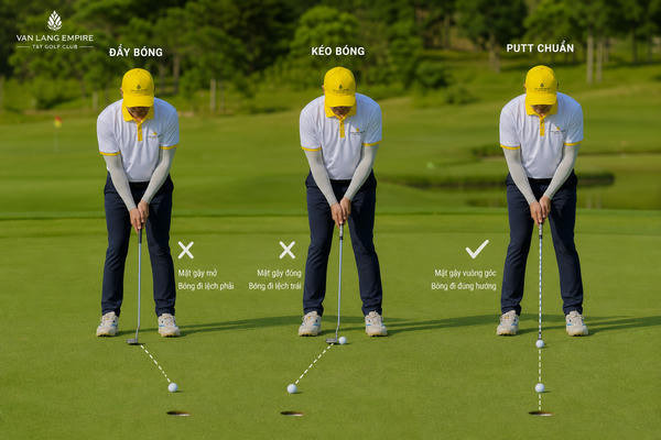 Lỗi thường gặp khi putt golf và cách khắc phục