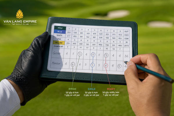 So sánh birdie, bogey và eagle qua ví dụ thực tế