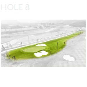 Hố 8